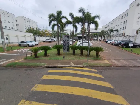 Apartamento / Padr&atilde;o em S&atilde;o Jos&eacute; do Rio Preto 