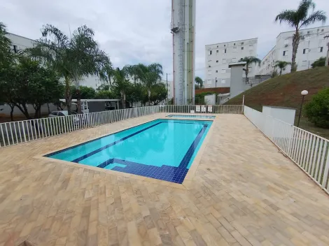 Alugar Apartamento / Padr&atilde;o em S&atilde;o Jos&eacute; do Rio Preto R$ 1.200,00 - Foto 5