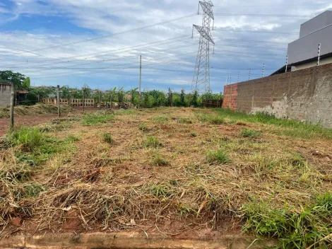 Bady Bassitt Jardim Tangara Terreno Venda R$75.000,00  Area do terreno 200.00m2 