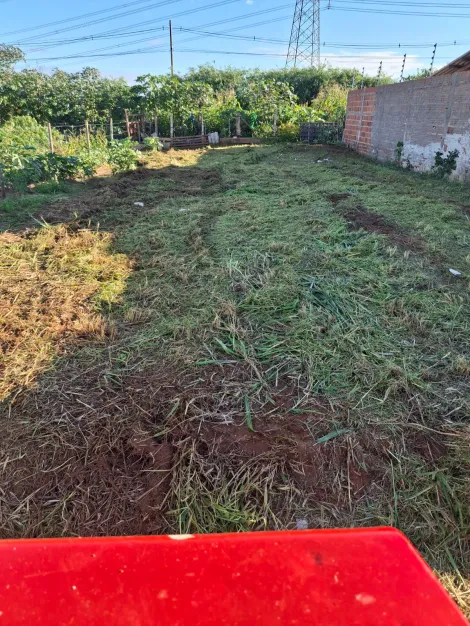 Comprar Terreno / Padr&atilde;o em Bady Bassitt R$ 75.000,00 - Foto 2