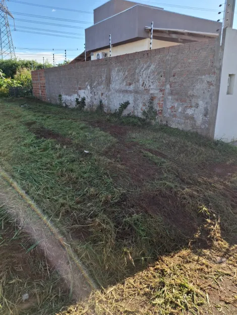 Comprar Terreno / Padr&atilde;o em Bady Bassitt R$ 75.000,00 - Foto 3