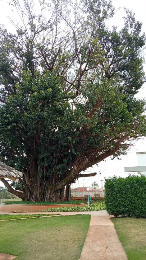 Comprar Terreno / Condom&iacute;nio em Bady Bassitt R$ 330.000,00 - Foto 21