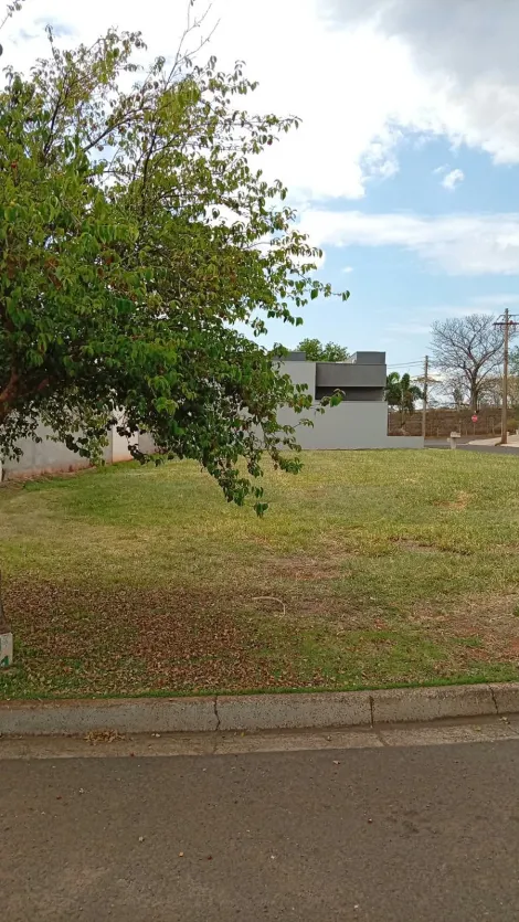 Comprar Terreno / Condom&iacute;nio em Bady Bassitt R$ 330.000,00 - Foto 2