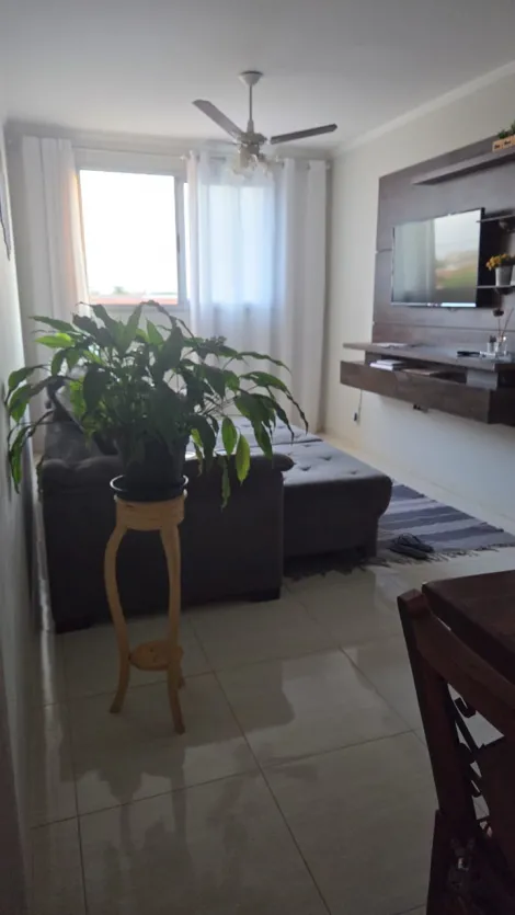 Apartamento / Padr&atilde;o em Ol&iacute;mpia 