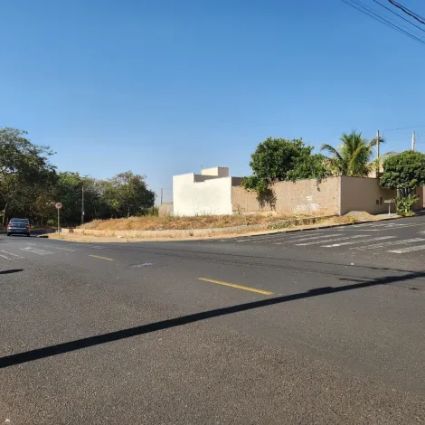 Terreno / Padr&atilde;o em S&atilde;o Jos&eacute; do Rio Preto 