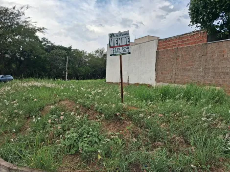 Comprar Terreno / Padr&atilde;o em S&atilde;o Jos&eacute; do Rio Preto R$ 160.000,00 - Foto 6