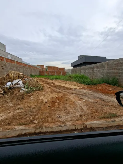 Terreno / Padr&atilde;o em S&atilde;o Jos&eacute; do Rio Preto 