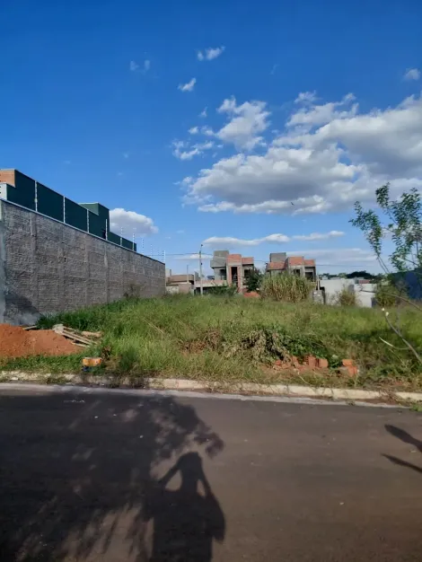 Sao Jose do Rio Preto Residencial Setsul II Terreno Venda R$165.000,00  Area do terreno 200.00m2 