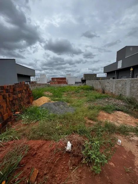 Terreno / Padr&atilde;o em S&atilde;o Jos&eacute; do Rio Preto 