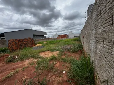 Comprar Terreno / Padr&atilde;o em S&atilde;o Jos&eacute; do Rio Preto R$ 122.000,00 - Foto 2