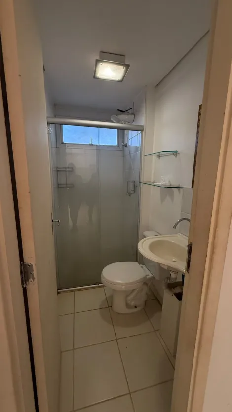 Alugar Apartamento / Padr&atilde;o em S&atilde;o Jos&eacute; do Rio Preto R$ 1.200,00 - Foto 6