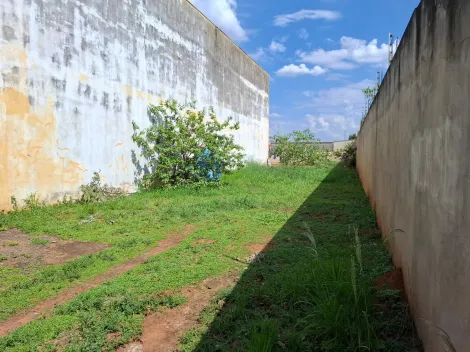 Comprar Casa / Sobrado em S&atilde;o Jos&eacute; do Rio Preto R$ 1.500.000,00 - Foto 3
