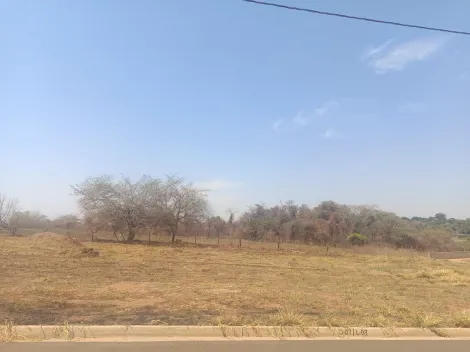 Comprar Terreno / Condom&iacute;nio em S&atilde;o Jos&eacute; do Rio Preto R$ 470.000,00 - Foto 4
