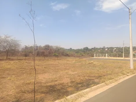 Comprar Terreno / Condom&iacute;nio em S&atilde;o Jos&eacute; do Rio Preto R$ 470.000,00 - Foto 5