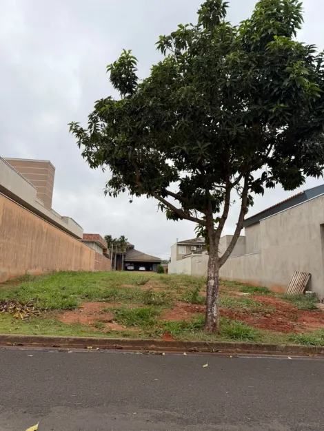 Comprar Terreno / Condom&iacute;nio em Bady Bassitt R$ 270.000,00 - Foto 2