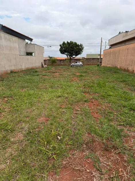 Comprar Terreno / Condom&iacute;nio em Bady Bassitt R$ 270.000,00 - Foto 4