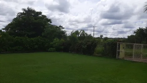 Comprar Rural / Ch&aacute;cara em S&atilde;o Jos&eacute; do Rio Preto R$ 900.000,00 - Foto 6