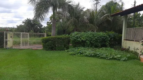 Comprar Rural / Ch&aacute;cara em S&atilde;o Jos&eacute; do Rio Preto R$ 900.000,00 - Foto 5