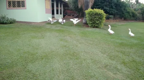 Comprar Rural / Ch&aacute;cara em S&atilde;o Jos&eacute; do Rio Preto R$ 900.000,00 - Foto 25