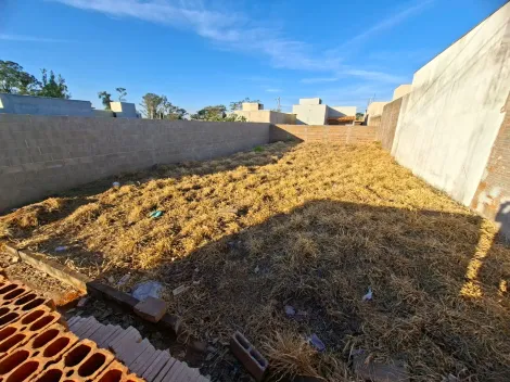 Terreno / Padr&atilde;o em S&atilde;o Jos&eacute; do Rio Preto 
