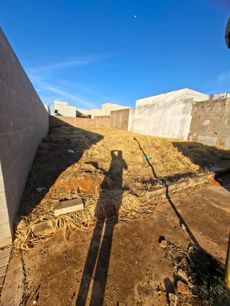 Comprar Terreno / Padr&atilde;o em S&atilde;o Jos&eacute; do Rio Preto R$ 110.000,00 - Foto 3