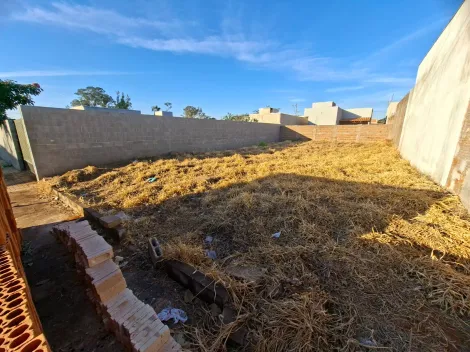 Comprar Terreno / Padr&atilde;o em S&atilde;o Jos&eacute; do Rio Preto R$ 110.000,00 - Foto 4