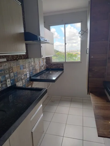 Alugar Apartamento / Padr&atilde;o em S&atilde;o Jos&eacute; do Rio Preto R$ 1.100,00 - Foto 4