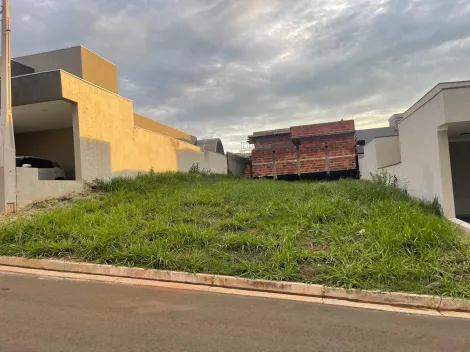 Terreno / Condom&iacute;nio em S&atilde;o Jos&eacute; do Rio Preto 