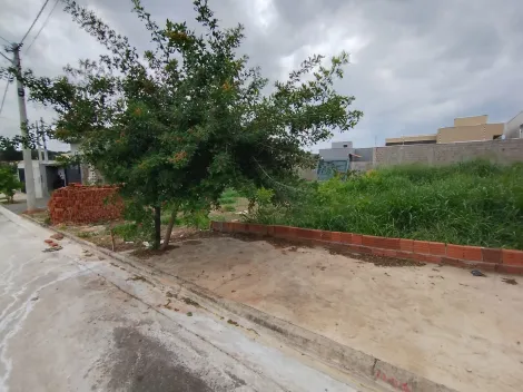 Comprar Terreno / Padr&atilde;o em S&atilde;o Jos&eacute; do Rio Preto R$ 143.000,00 - Foto 4