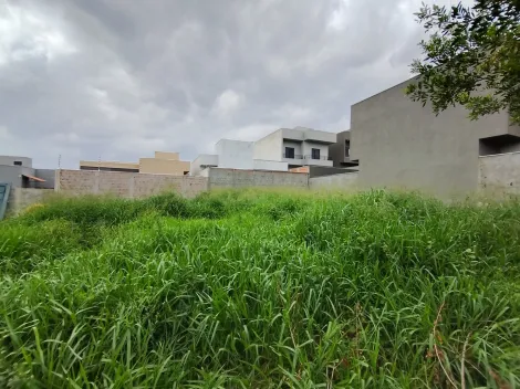 Comprar Terreno / Padr&atilde;o em S&atilde;o Jos&eacute; do Rio Preto R$ 143.000,00 - Foto 8