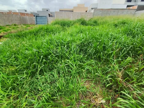 Comprar Terreno / Padr&atilde;o em S&atilde;o Jos&eacute; do Rio Preto R$ 143.000,00 - Foto 9