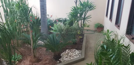 Comprar Casa / Padr&atilde;o em S&atilde;o Jos&eacute; do Rio Preto R$ 650.000,00 - Foto 11