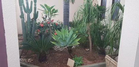 Comprar Casa / Padr&atilde;o em S&atilde;o Jos&eacute; do Rio Preto R$ 650.000,00 - Foto 12