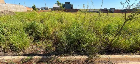 Alugar Terreno / Padr&atilde;o em S&atilde;o Jos&eacute; do Rio Preto. apenas R$ 87.000,00