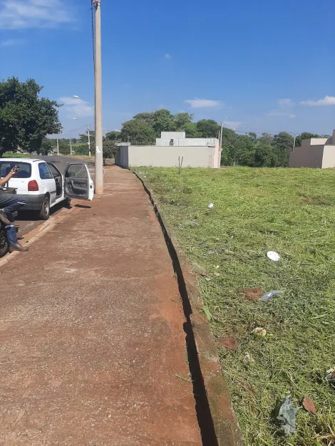 S&atilde;o Jos&eacute; do Rio Preto - Setparque Avenida 2 - Terreno - Padr&atilde;o - Venda