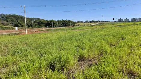 S&atilde;o Jos&eacute; do Rio Preto - Eplenum Tresor - Terreno - Condom&iacute;nio - Venda