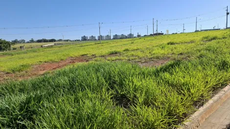 Comprar Terreno / Condom&iacute;nio em S&atilde;o Jos&eacute; do Rio Preto R$ 395.000,00 - Foto 6