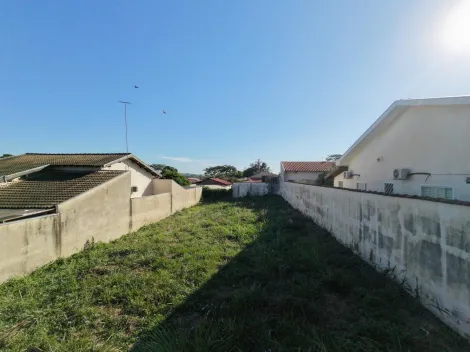 Comprar Terreno / Padr&atilde;o em S&atilde;o Jos&eacute; do Rio Preto R$ 230.000,00 - Foto 20