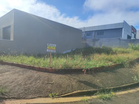 Alugar Terreno / Padr&atilde;o em S&atilde;o Jos&eacute; do Rio Preto R$ 1.800,00 - Foto 6