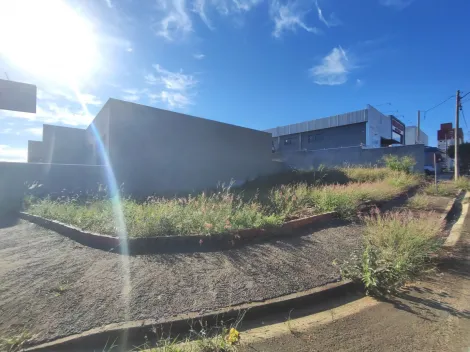 Alugar Terreno / Padr&atilde;o em S&atilde;o Jos&eacute; do Rio Preto R$ 1.800,00 - Foto 7