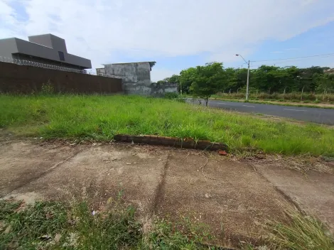 Comprar Terreno / Padr&atilde;o em S&atilde;o Jos&eacute; do Rio Preto R$ 160.000,00 - Foto 11