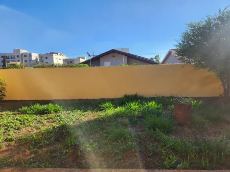 Alugar Casa / Padr&atilde;o em S&atilde;o Jos&eacute; do Rio Preto R$ 3.000,00 - Foto 17
