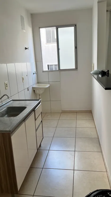 Alugar Apartamento / Padr&atilde;o em S&atilde;o Jos&eacute; do Rio Preto R$ 790,00 - Foto 10