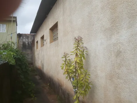 Alugar Comercial / Sal&atilde;o em S&atilde;o Jos&eacute; do Rio Preto R$ 888,31 - Foto 6