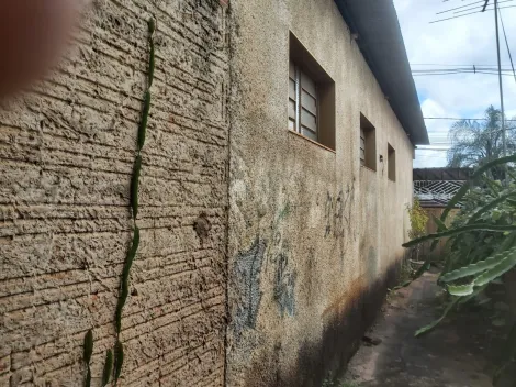 Alugar Comercial / Sal&atilde;o em S&atilde;o Jos&eacute; do Rio Preto R$ 888,31 - Foto 7