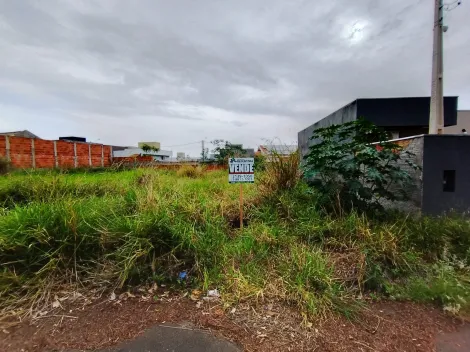 Comprar Terreno / Padr&atilde;o em Bady Bassitt R$ 110.000,00 - Foto 10