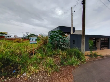Comprar Terreno / Padr&atilde;o em Bady Bassitt R$ 110.000,00 - Foto 11