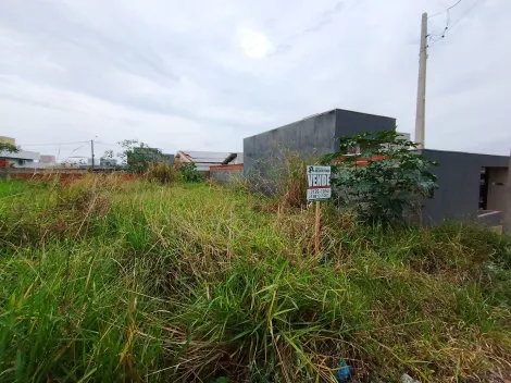 Comprar Terreno / Padr&atilde;o em Bady Bassitt R$ 110.000,00 - Foto 13