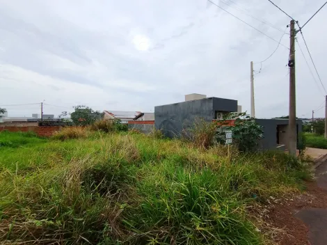 Comprar Terreno / Padr&atilde;o em Bady Bassitt R$ 110.000,00 - Foto 14