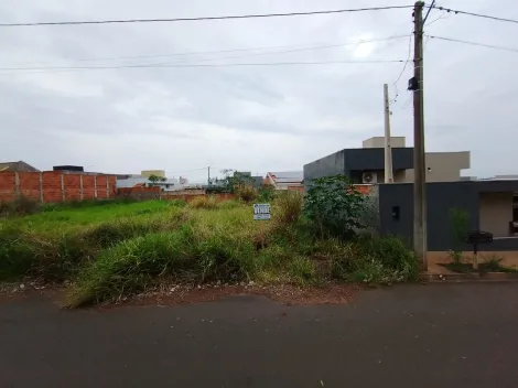 Comprar Terreno / Padr&atilde;o em Bady Bassitt R$ 110.000,00 - Foto 16